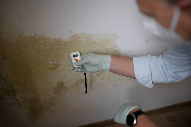 Water Damage Restoration in North Royalton, OH