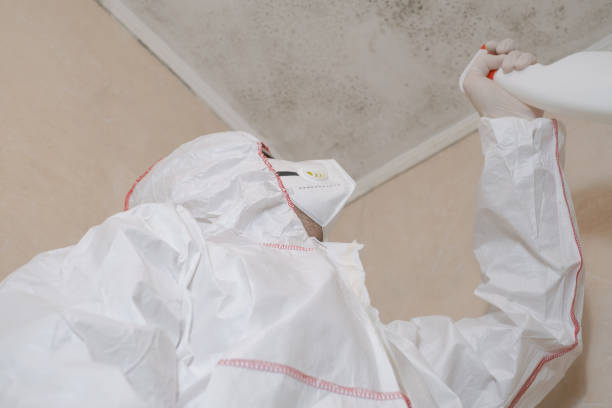 Crawl Space Mold Removal in North Royalton, OH